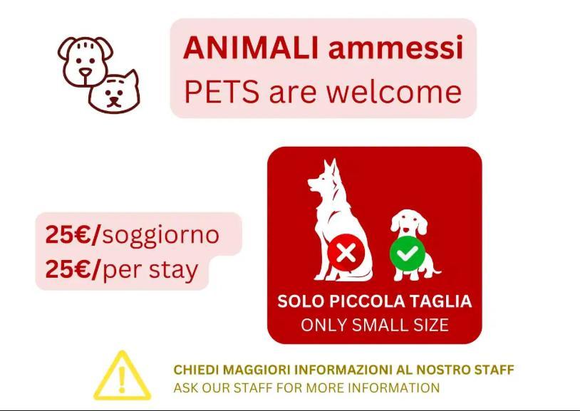 Apartment Eco Capuana - Station Naples
